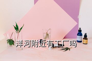 洋河附近有工厂吗