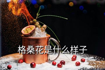 格桑花是什么样子