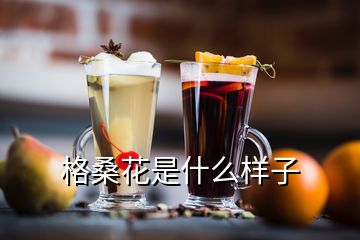 格桑花是什么样子