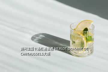 请问法国卡洛红葡萄酒 MERLOT DOMAINE DE CANTAUSSELS大概