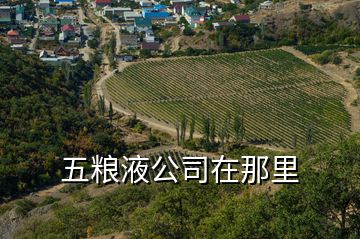 五粮液公司在那里