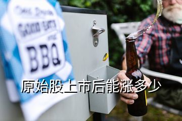 原始股上市后能涨多少