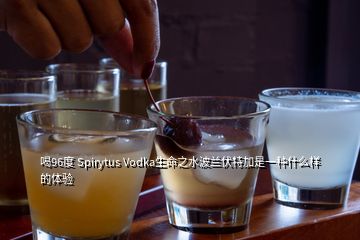 喝96度 Spirytus Vodka生命之水波兰伏特加是一种什么样的体验