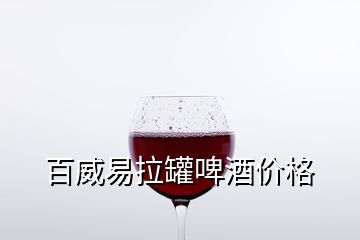 百威易拉罐啤酒价格