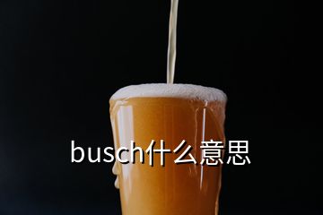 busch什么意思