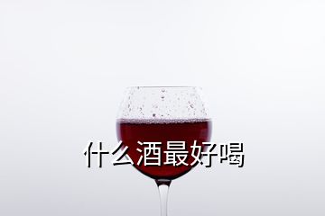 什么酒最好喝