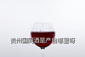 贵州国同酒是产自哪里呀