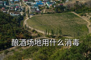 酿酒场地用什么消毒