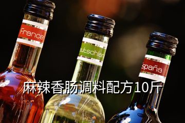 麻辣香肠调料配方10斤