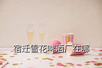 宿迁雪花啤酒厂在哪