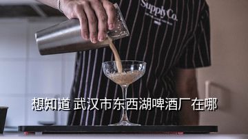 想知道 武汉市东西湖啤酒厂在哪