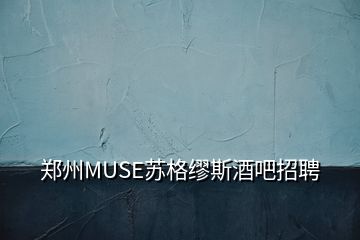 郑州MUSE苏格缪斯酒吧招聘