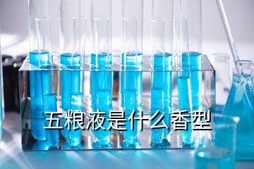 五粮液是什么香型