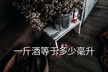 一斤酒等于多少毫升