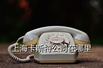 上海卡斯特公司在哪里