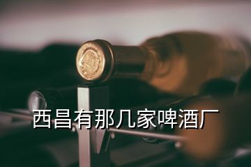 西昌有那几家啤酒厂