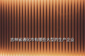 吉林省通化市有哪些大型的生产企业