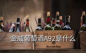 金威葡萄酒A92是什么