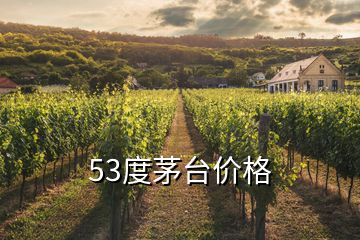 53度茅台价格