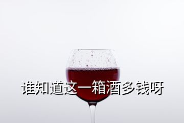 谁知道这一箱酒多钱呀