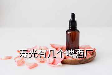 寿光有几个啤酒厂