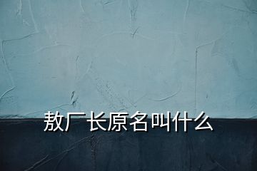 敖厂长原名叫什么