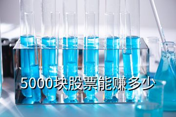 5000块股票能赚多少