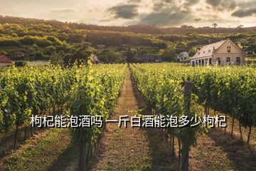 枸杞能泡酒吗 一斤白酒能泡多少枸杞