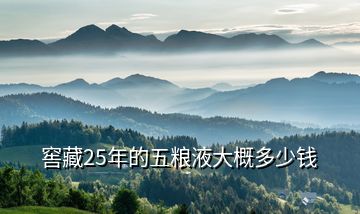 窖藏25年的五粮液大概多少钱