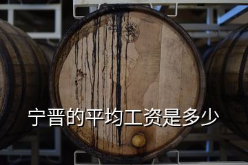宁晋的平均工资是多少