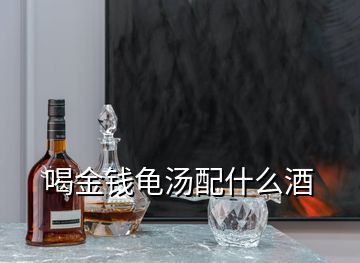 喝金钱龟汤配什么酒