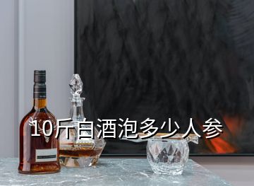 10斤白酒泡多少人参