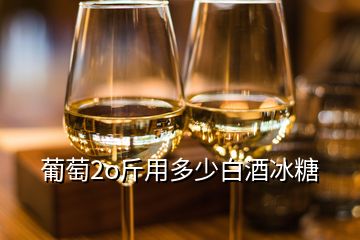 葡萄2o斤用多少白酒冰糖