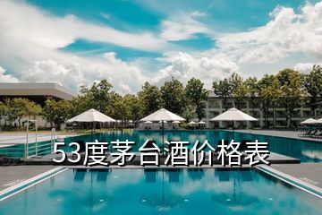 53度茅台酒价格表