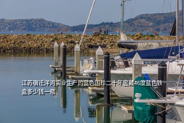 江苏宿迁洋河实业生产的蓝色国珍二十年窖藏46度蓝色铁盒多少钱一瓶