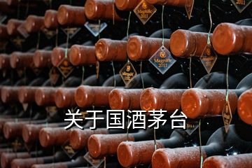 关于国酒茅台