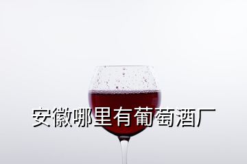 安徽哪里有葡萄酒厂