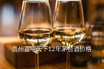 贵州富甲天下12年茅台酒价格