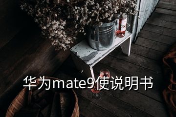 华为mate9使说明书