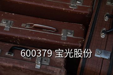 600379 宝光股份