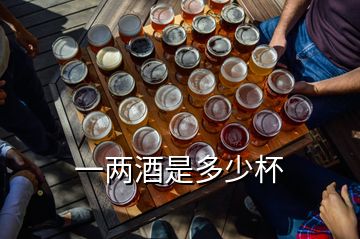 一两酒是多少杯