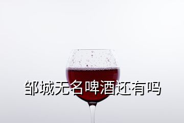 邹城无名啤酒还有吗