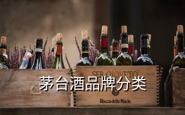 茅台酒品牌分类