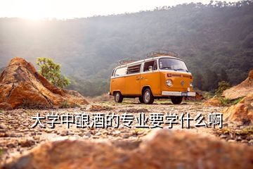 大学中酿酒的专业要学什么啊
