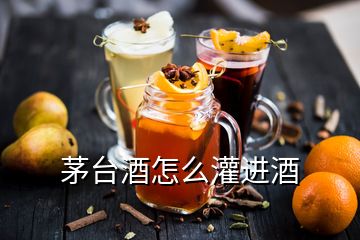 茅台酒怎么灌进酒