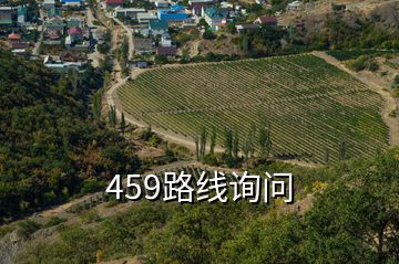 459路线询问