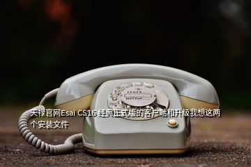 天禄官网Esai CS16 经典正式版的客户端和升级我想这两个安装文件