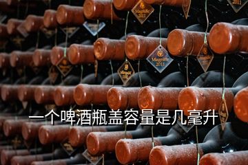 一个啤酒瓶盖容量是几毫升