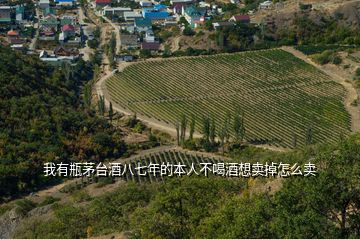 我有瓶茅台酒八七年的本人不喝酒想卖掉怎么卖