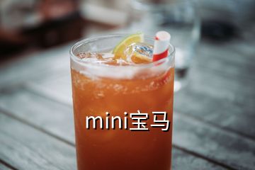 mini宝马